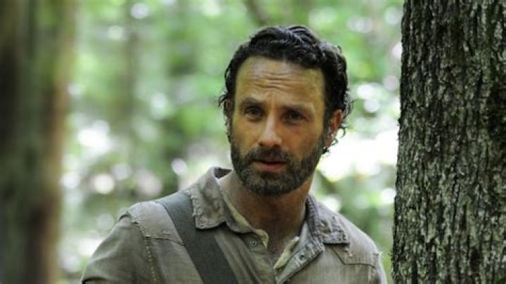 Andrew Lincoln Andrew Lincoln