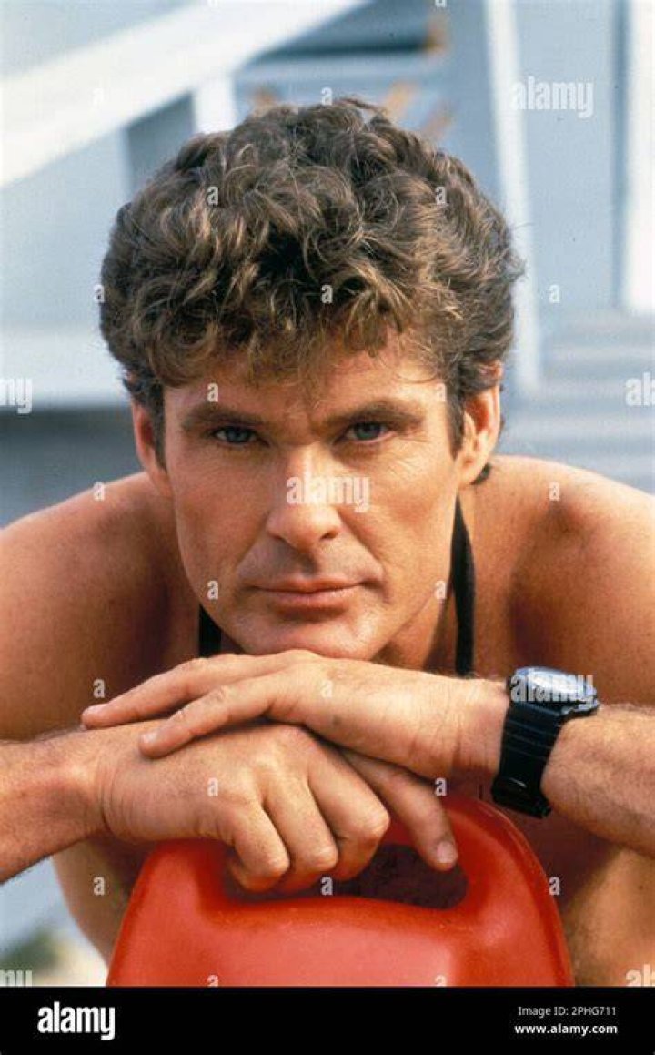 David Hasselhoff David Hasselhoff