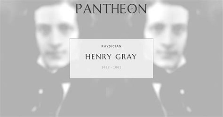 Henry Gray Biography