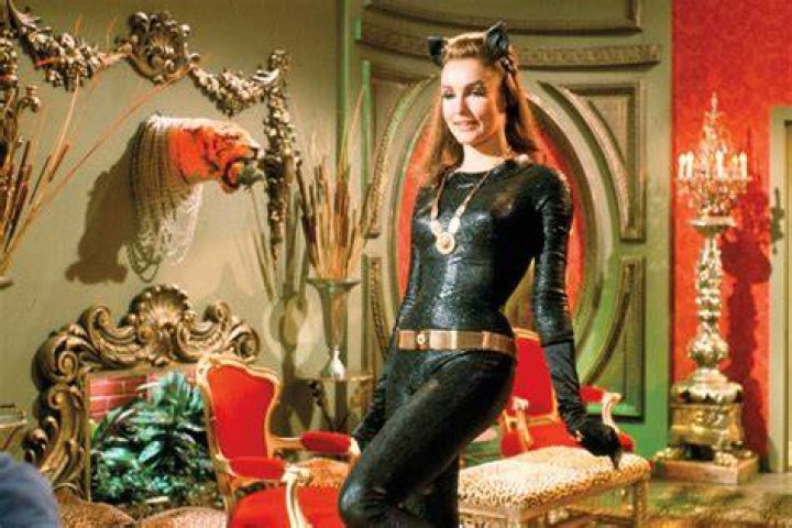 How did Julie Newmar make her money?
