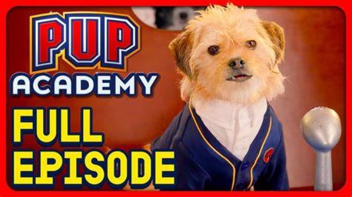 Is dude in pup Academy?