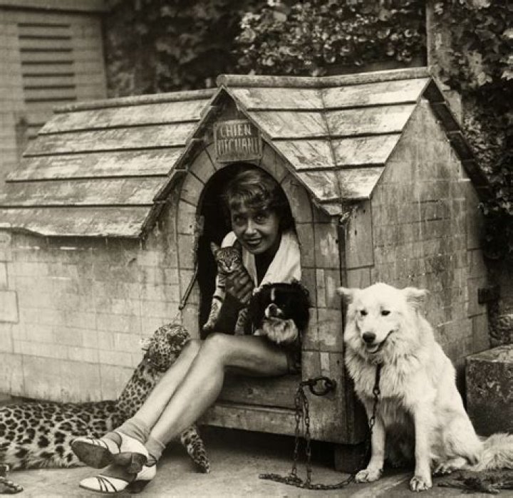 Mistinguett Mistinguett