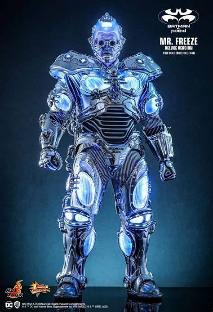 Mr. Freeze Batman Robin