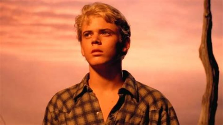 ponyboy curtis played by c. thomas howell in the outsiders