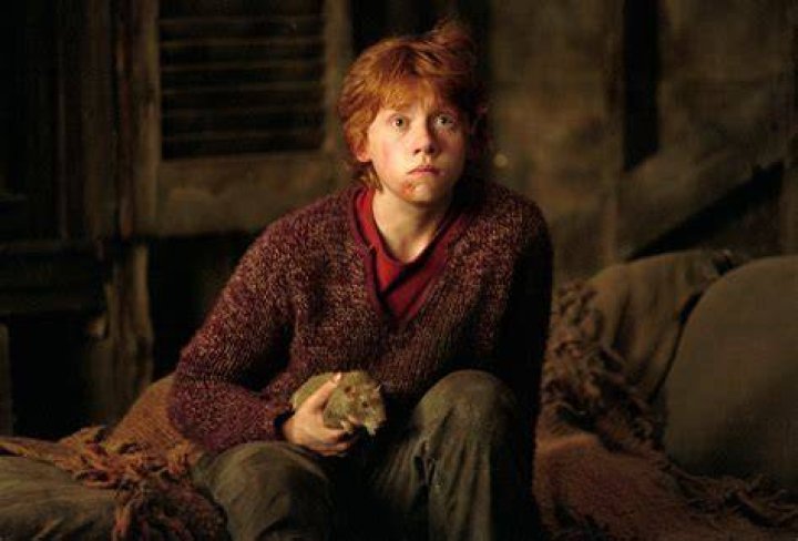 Rupert Grint as Ron Weasley in 'Harry Potter and the Chamber of Secrets'