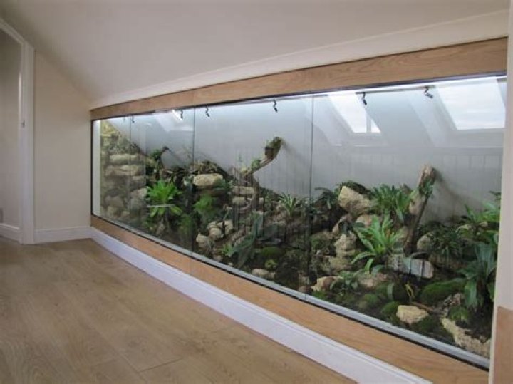 Vivarium
