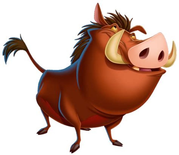 What does Pumbaa mean in English?