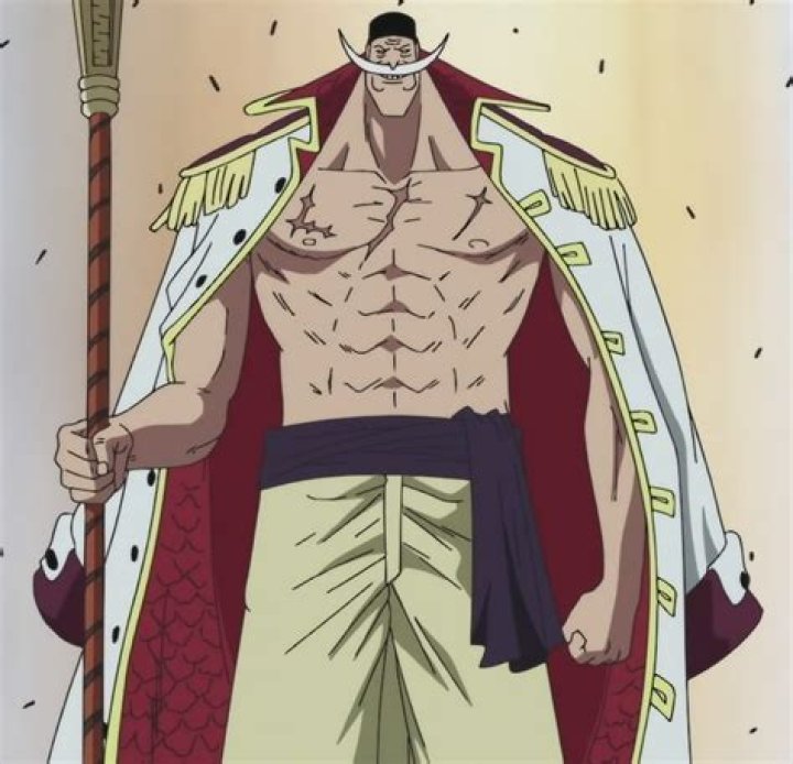 Whitebeard standing with his jacket open
